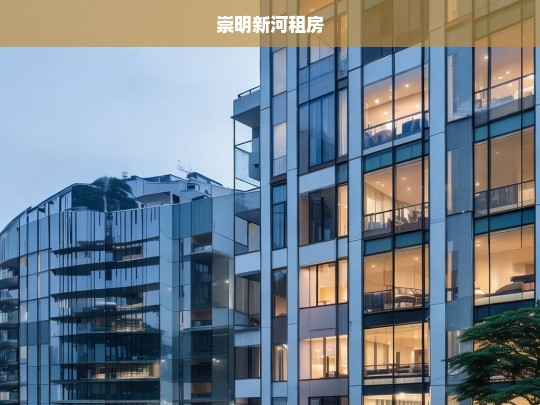 崇明新河租房指南，优质房源与实用建议