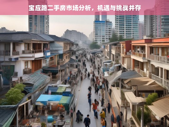 宝应路二手房市场，机遇与挑战并存的分析报告