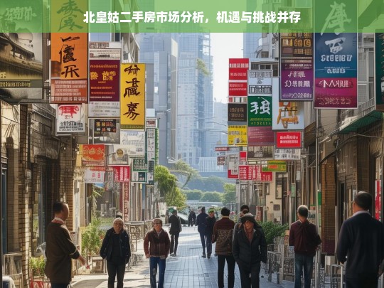 北皇姑二手房市场，机遇与挑战并存的分析报告