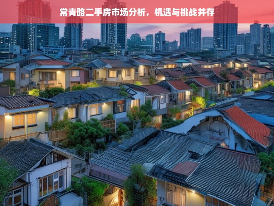 常青路二手房市场，机遇与挑战并存的分析报告