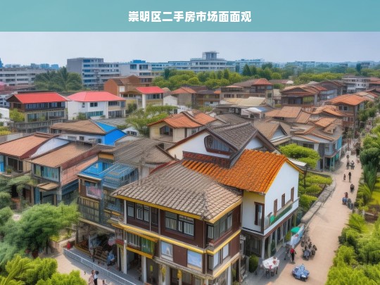 崇明区二手房市场面面观，崇明区二手房市场全景分析