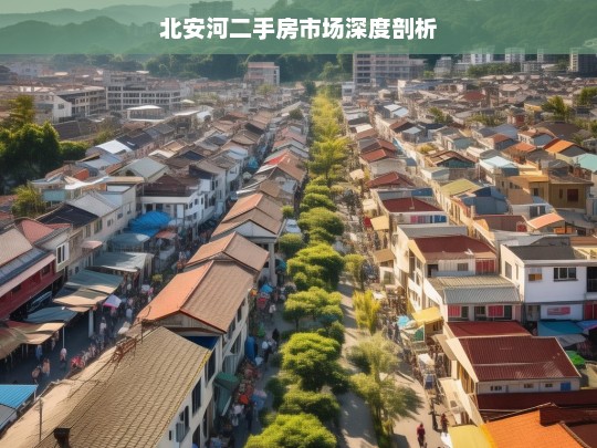 北安河二手房市场深度剖析，北安河二手房市场之深度洞察