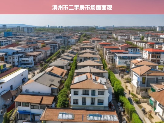 滨州市二手房市场面面观，滨州市二手房市场全景洞察