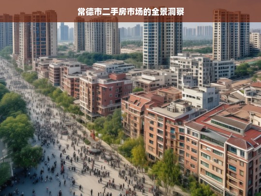 常德市二手房市场的全景洞察，常德市二手房市场全景洞察