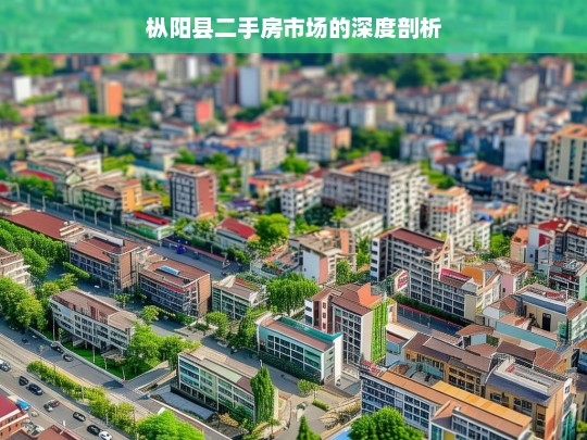 枞阳县二手房市场的深度剖析，枞阳县二手房市场剖析