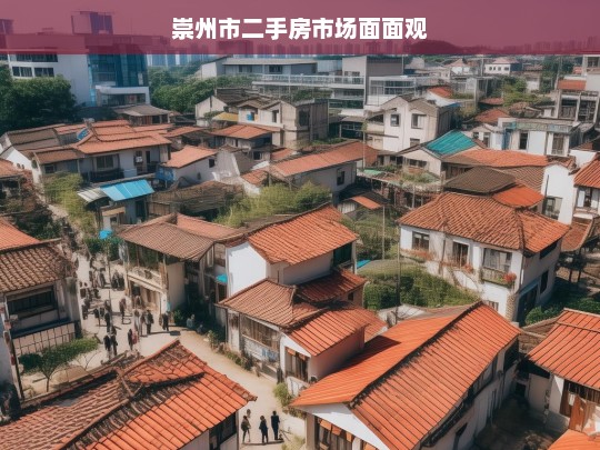 崇州市二手房市场面面观，崇州市二手房市场全景洞察