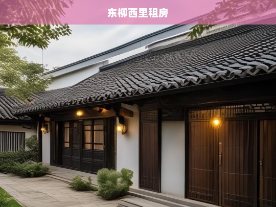 东柳西里租房指南，找到理想住所的实用建议