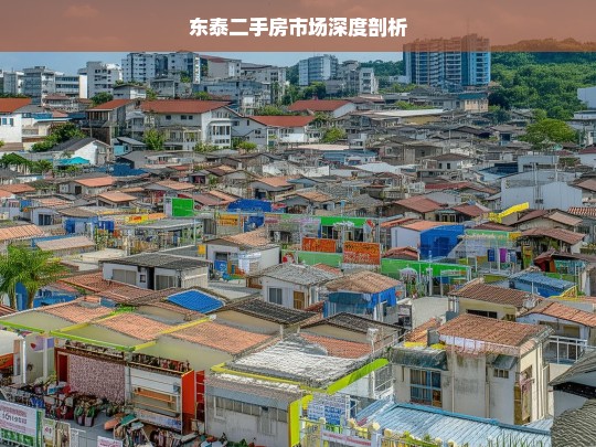 东泰二手房市场深度剖析，东泰二手房市场剖析